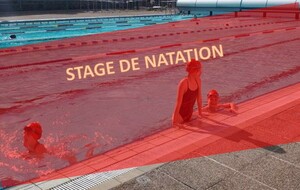 Groupes Compétition en stage de natation (19 au 23 octobre)
