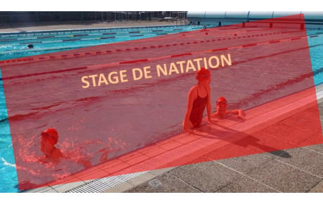 Groupes Compétition en stage de natation (19 au 23 octobre)