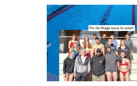 Fin du stage natation : entraînements et activités au programme